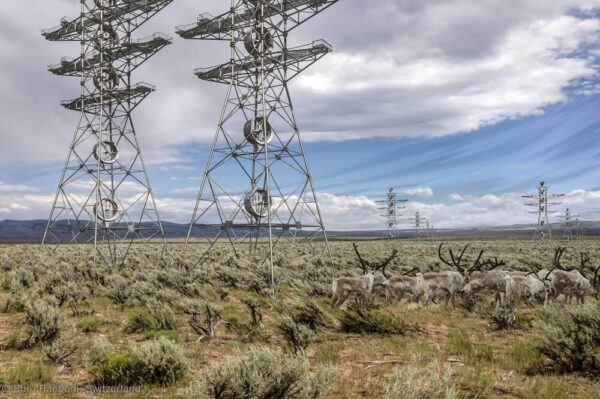 comp_Image_Product_FlowGen_1000x665_JPG_03,1 comp_Image_Product_FlowGen_1000x665_JPG_03,1