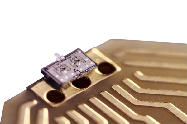 gallery_image02 gallery_image02